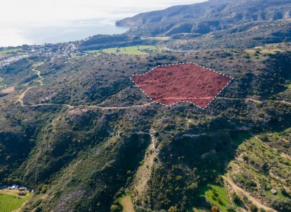Pissouri, Limassol Touristic Field For Sale | WW28012