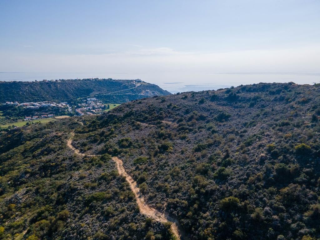 Field - Pissouri, Limassol