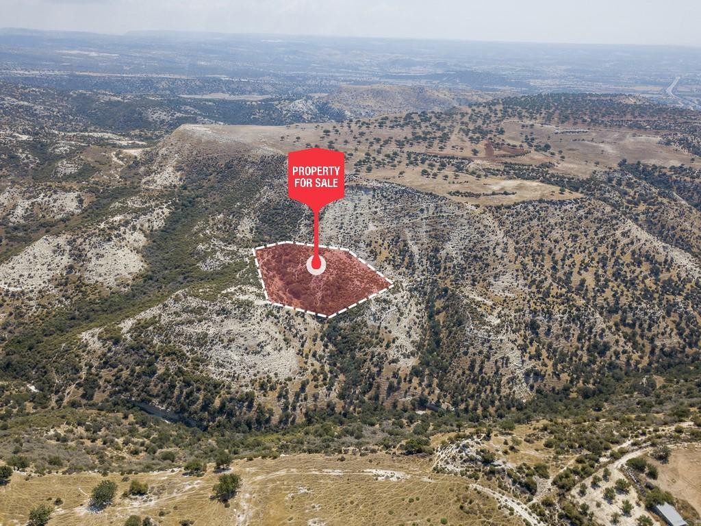 Pissouri, Limassol Agricultural Field For Sale | WW28013