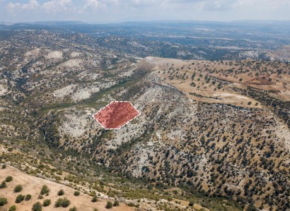 Pissouri, Limassol Agricultural Field For Sale | WW28013