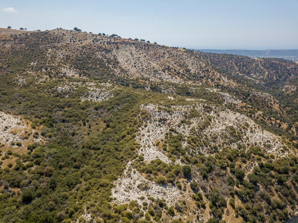 Field - Pissouri, Limassol