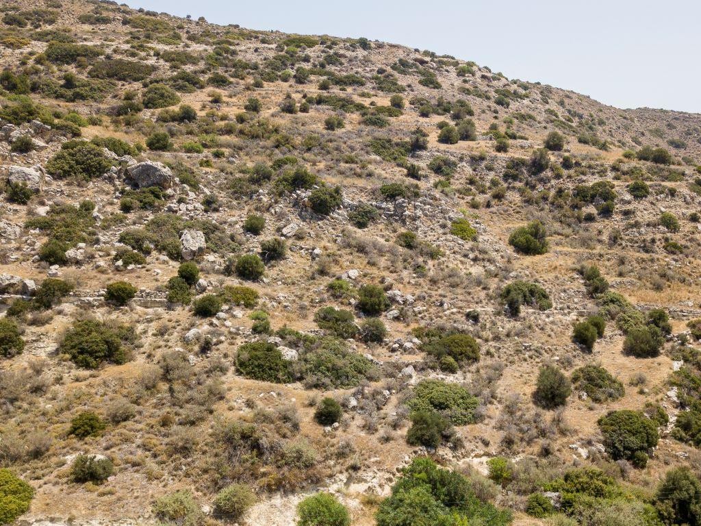Field - Pissouri, Limassol