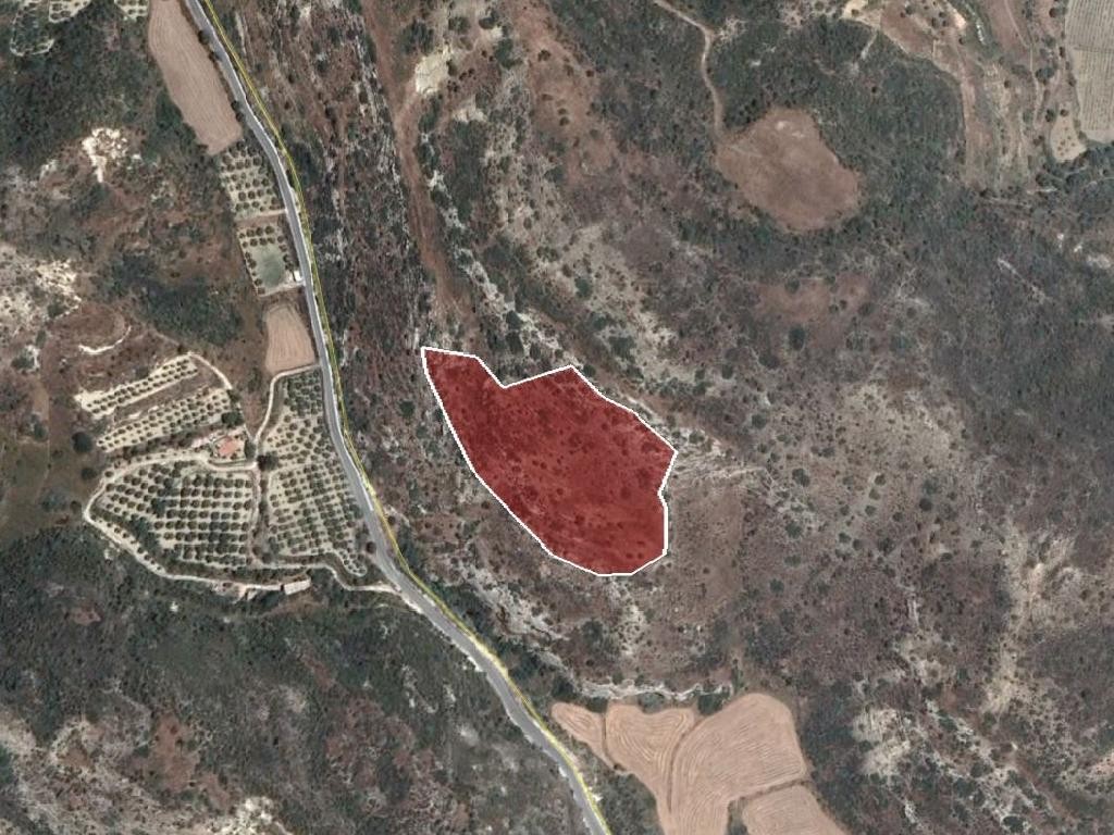 Field - Pissouri, Limassol