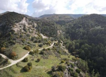 Dora, Limassol Agricultural Field For Sale | WW28017