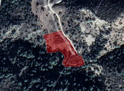 Dora, Limassol Agricultural Field For Sale | WW28017