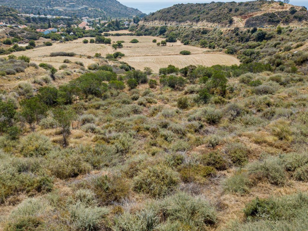 Field - Pissouri, Limassol