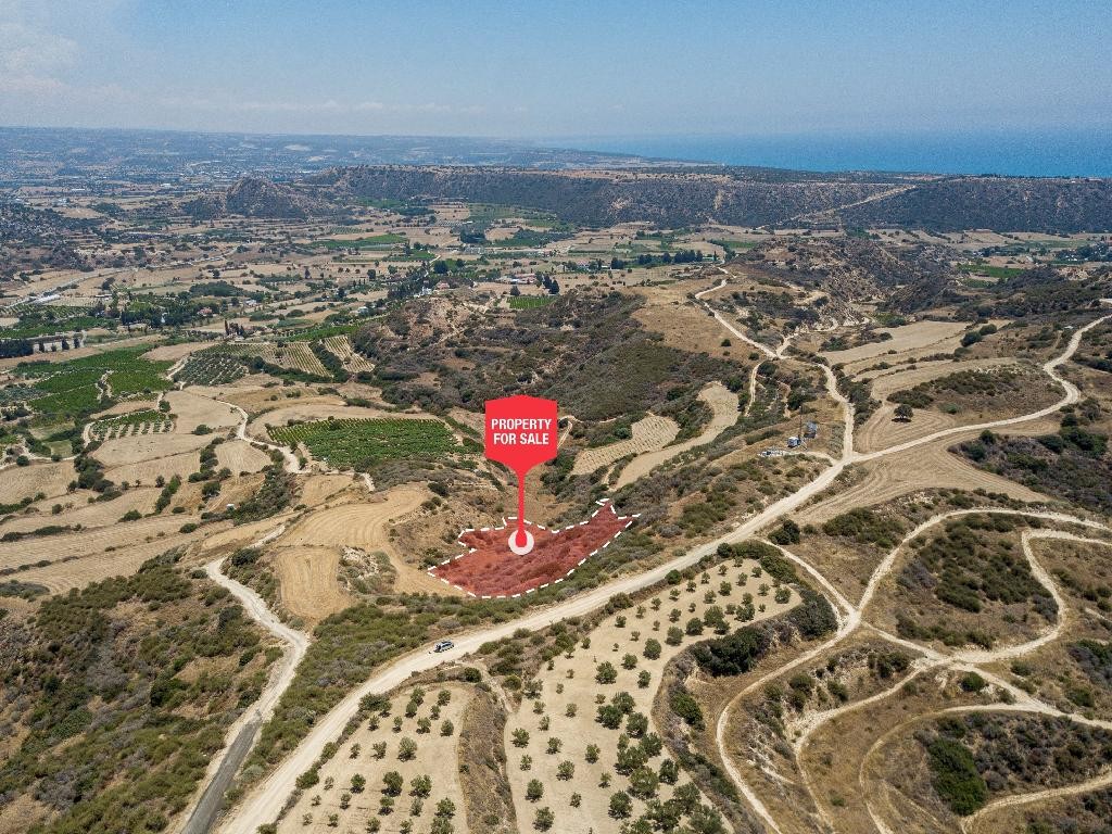Pissouri, Limassol Agricultural Field For Sale | WW28019