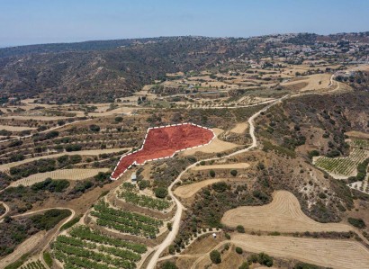 Pissouri, Limassol Agricultural Field For Sale | WW28019