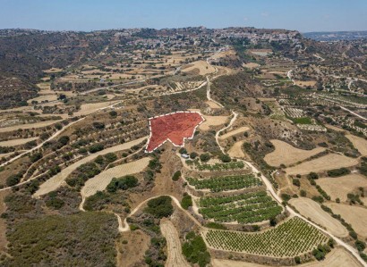 Pissouri, Limassol Agricultural Field For Sale | WW28019