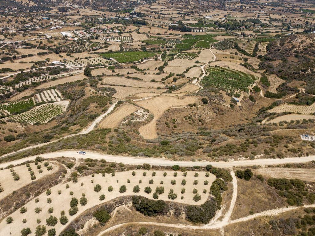 Field - Pissouri, Limassol