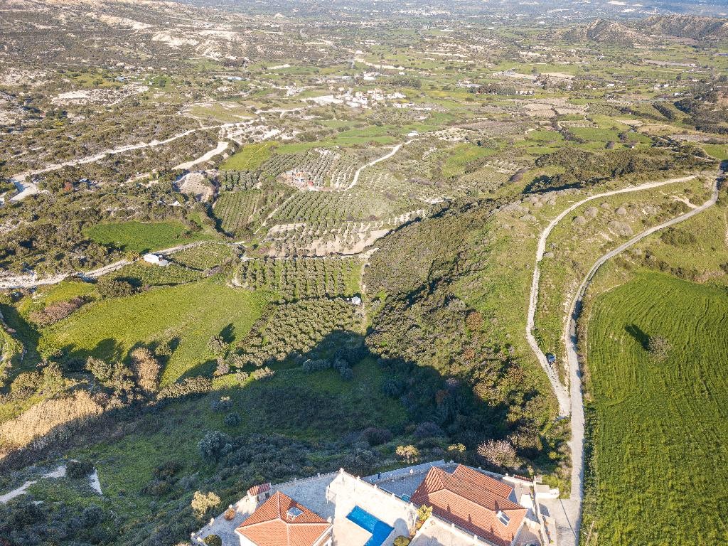 Field - Pissouri, Limassol