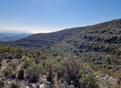 Asgata, Limassol Agricultural Field For Sale | WW28026