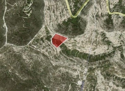 Asgata, Limassol Agricultural Field For Sale | WW28026