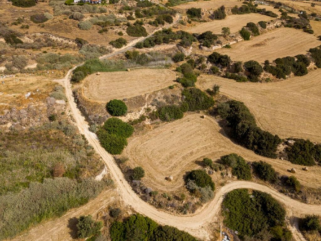 Field - Pissouri, Limassol
