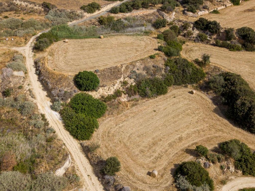 Field - Pissouri, Limassol