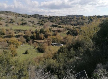 Psathi, Paphos Agricultural Field For Sale | WW28043