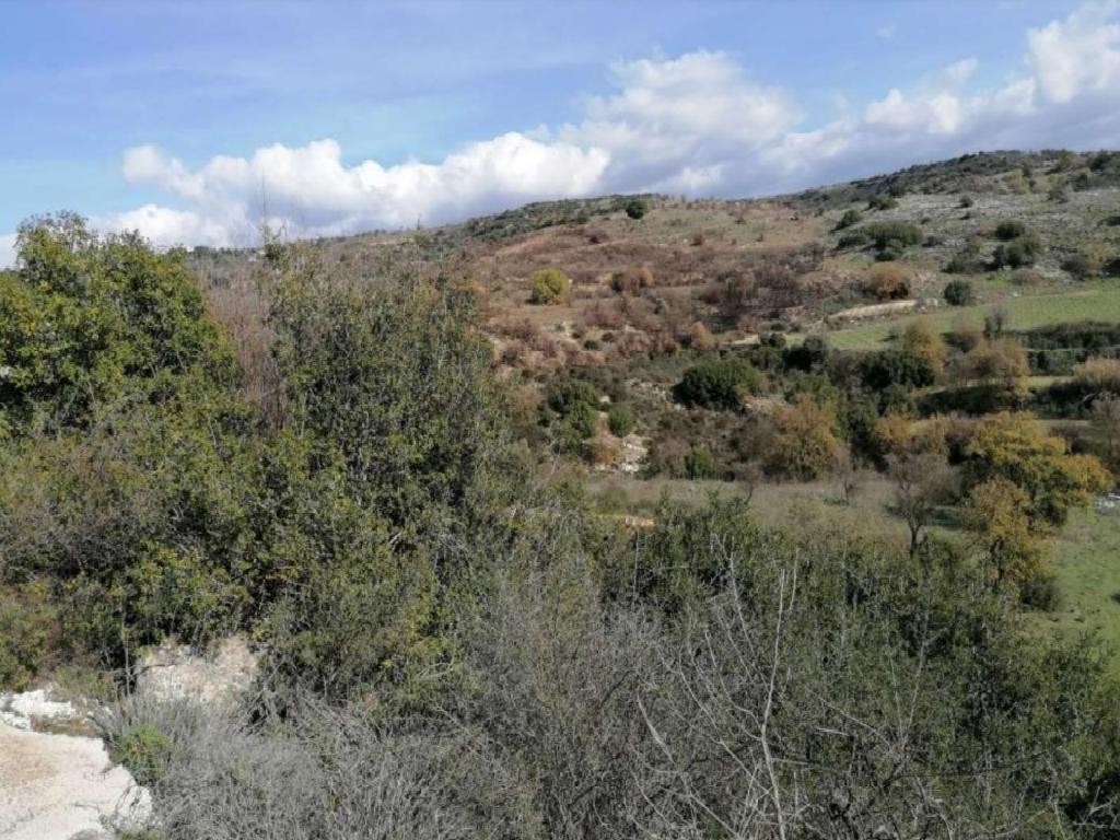 Field - Psathi, Paphos