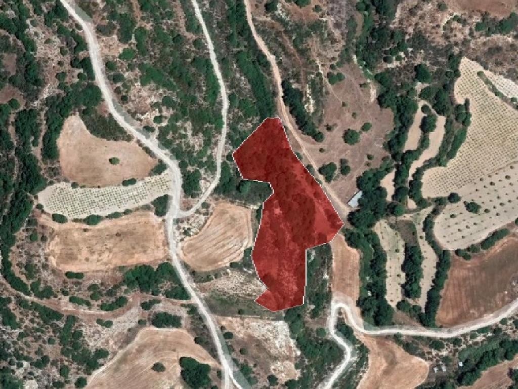 Field - Psathi, Paphos