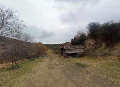 Agios Dimitrianos Agricultural Field For Sale | WW28045