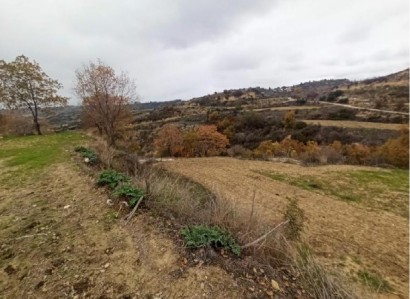 Agios Dimitrianos Agricultural Field For Sale | WW28045