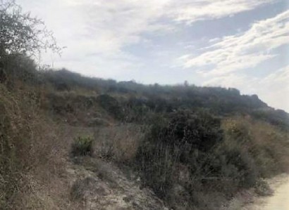 Stroumbi, Paphos Agricultural Field For Sale | WW28055