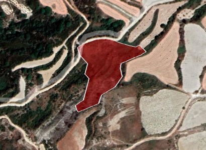 Stroumbi, Paphos Agricultural Field For Sale | WW28055