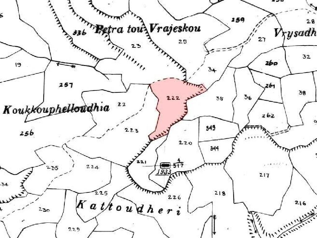 Field - Stroumpi, Paphos