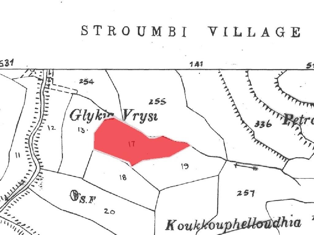 Field - Stroumpi, Paphos