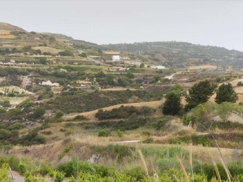 Stroumbi, Paphos Agricultural Field For Sale | WW28058