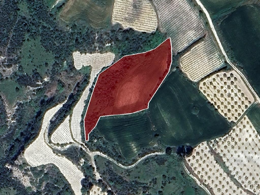 Field - Stroumpi, Paphos
