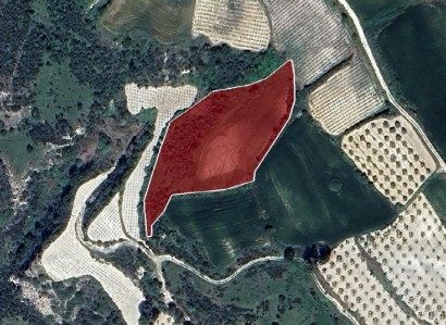 Stroumbi, Paphos Agricultural Field For Sale | WW28058