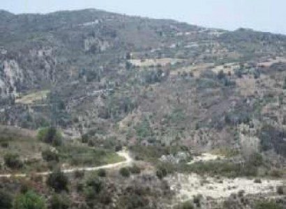 Peyia, Paphos Agricultural Field For Sale | WW28060