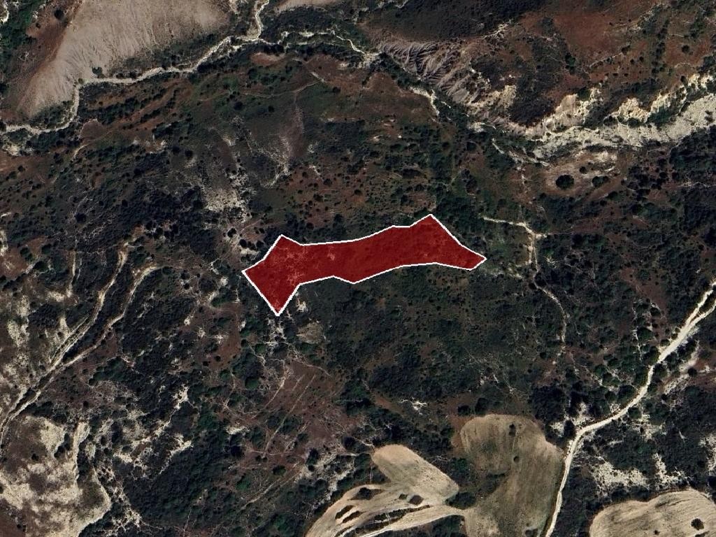 Field - Pegeia, Paphos