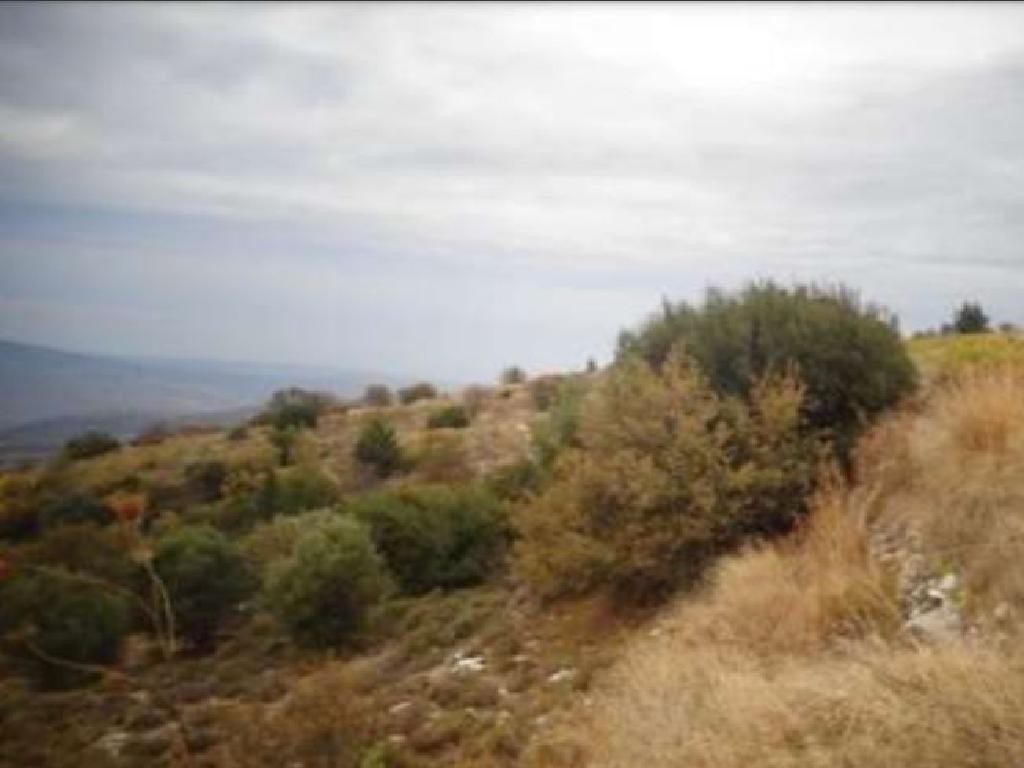 Koilineia, Paphos Agricultural Field For Sale | WW28061