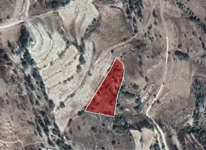 Koilineia, Paphos Agricultural Field For Sale | WW28061