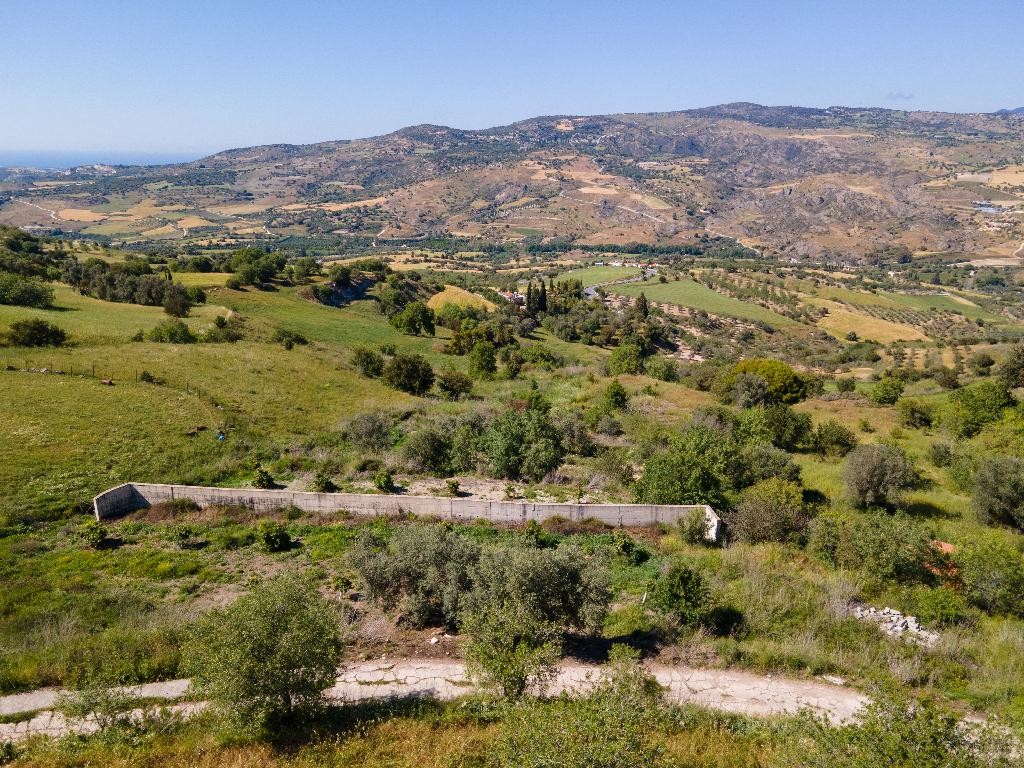 Field - Simou, Paphos