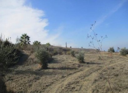 Lasa, Paphos Agricultural Field For Sale | WW28067