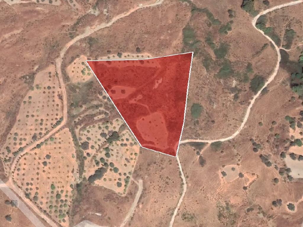 Field - Lasa, Paphos