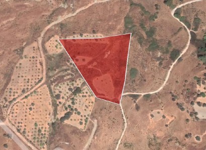Lasa, Paphos Agricultural Field For Sale | WW28067