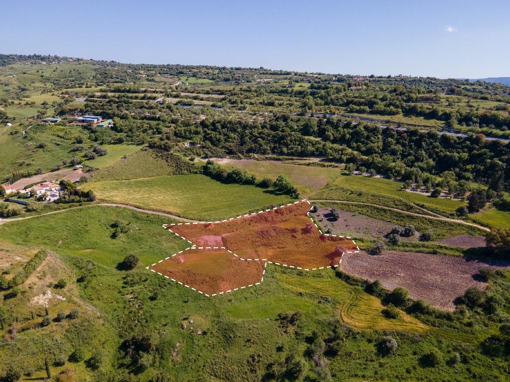 Field - Simou, Paphos