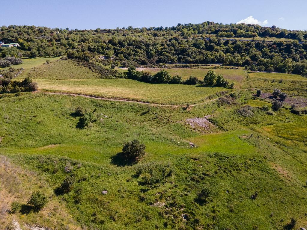 Field - Simou, Paphos