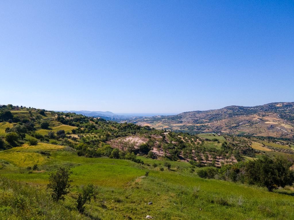 Field - Simou, Paphos