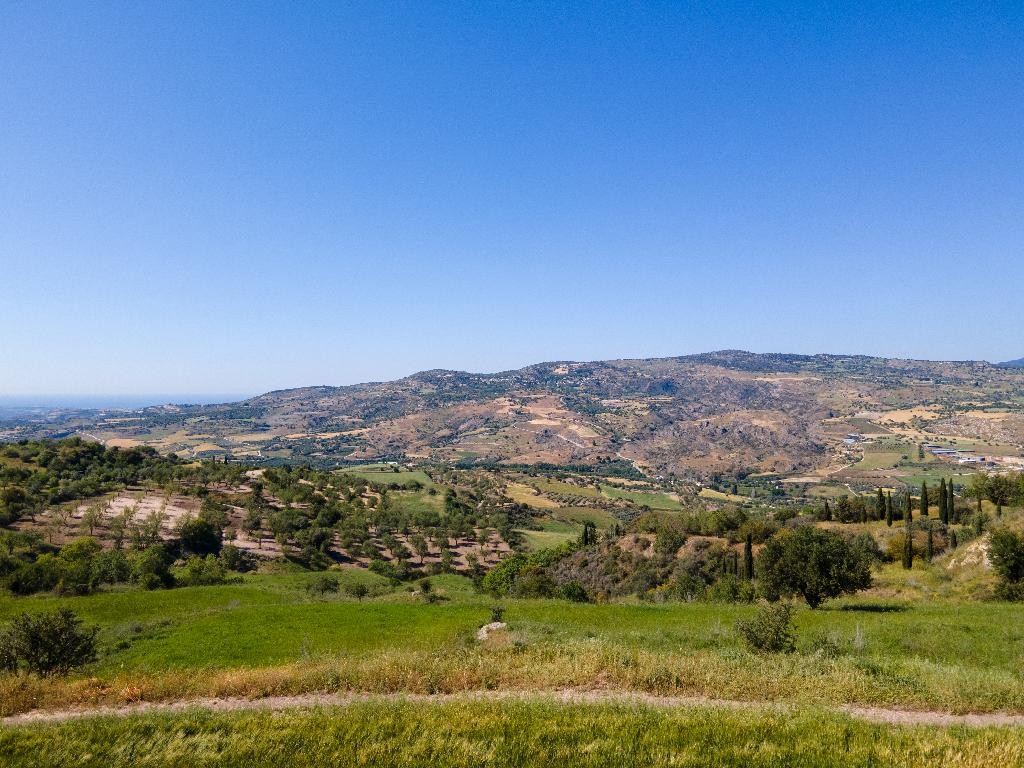 Field - Simou, Paphos