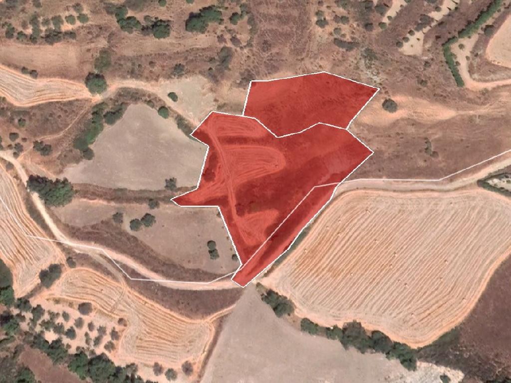 Field - Simou, Paphos