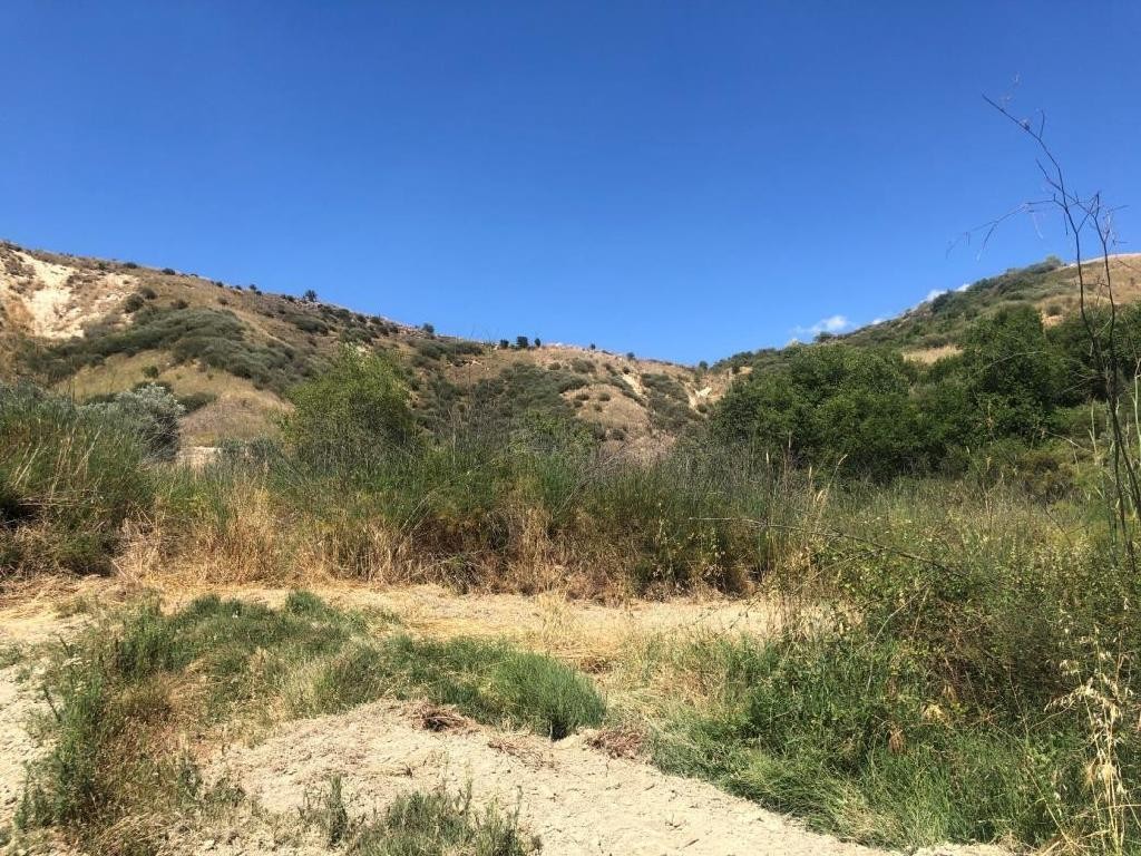 Giolou, Paphos Agricultural Field For Sale | WW28072