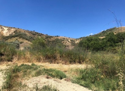 Giolou, Paphos Agricultural Field For Sale | WW28072