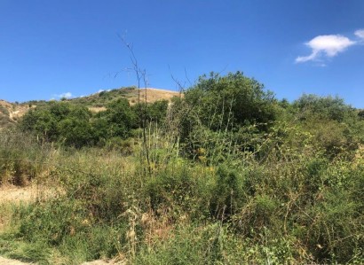 Giolou, Paphos Agricultural Field For Sale | WW28072