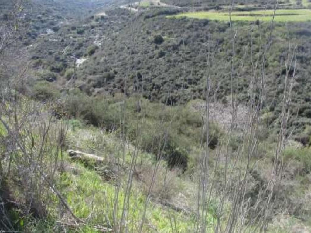 Pano Akourdaleia Agricultural Field For Sale | WW28073