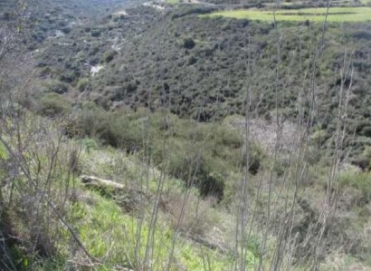 Pano Akourdaleia Agricultural Field For Sale | WW28073