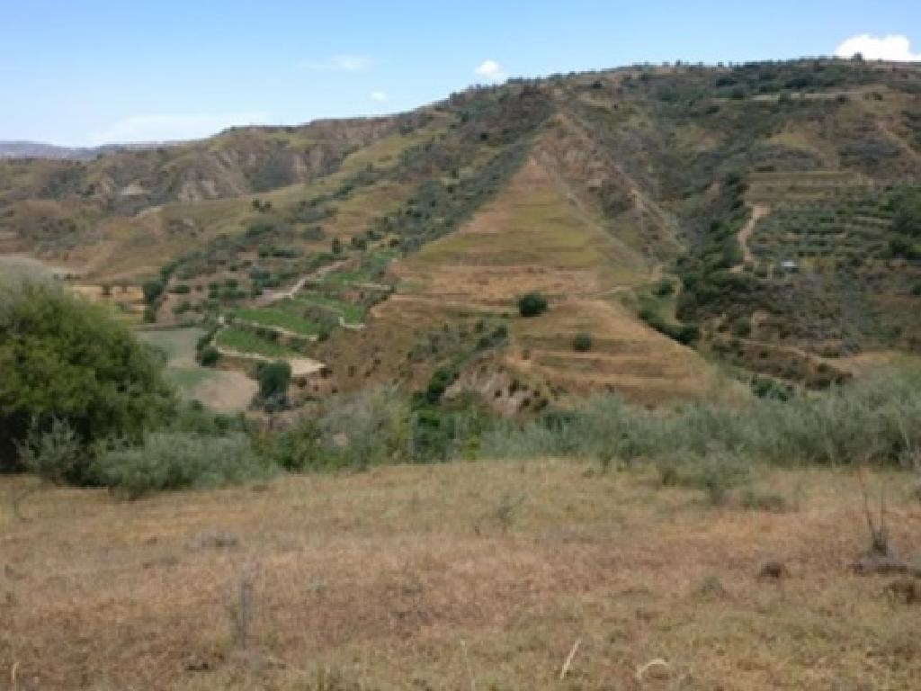 Giolou, Paphos Agricultural Field For Sale | WW28078